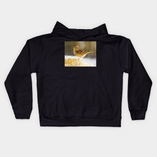 Bite to Eat - Sparrow Kids Hoodie